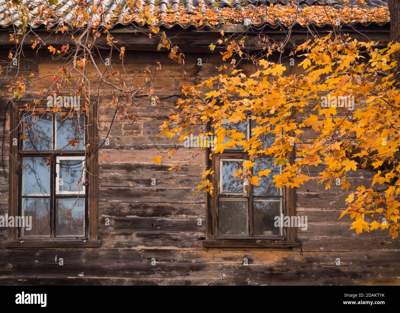 Old wooden house in the fall. Stock Photo