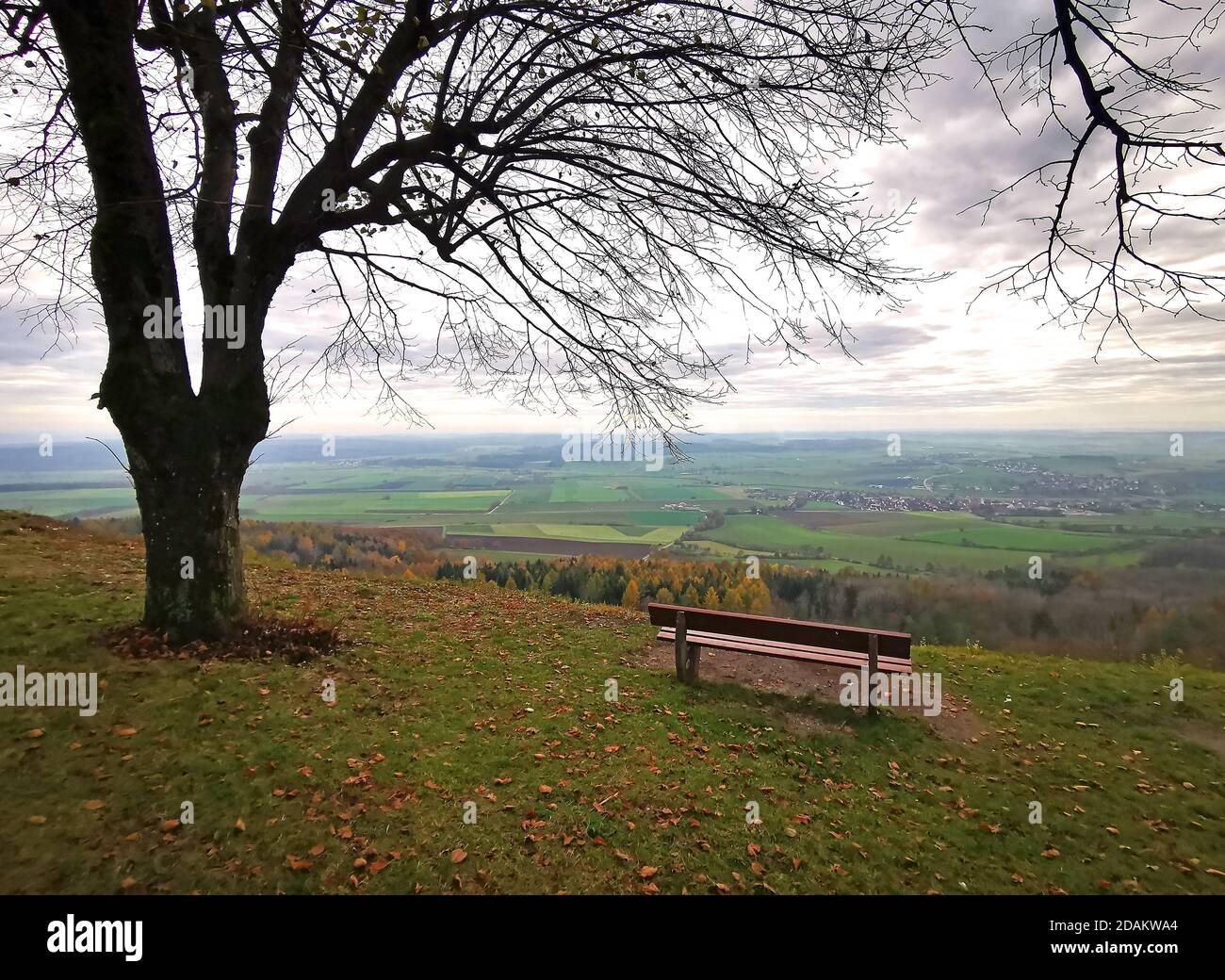 view showing a bench and a bare tree on a mountain and a panoramic view to an autumn landscape Stock Photo