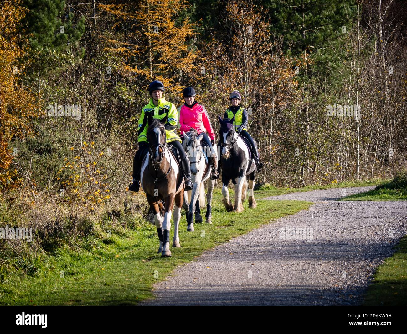 Horse ridding at the Dream in St Helens, Merseyside Stock Photo Alamy