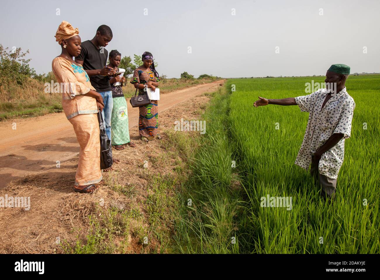 Selingue, Mali, 28th April 2015; Madame Sogoba, agricultural technician, advising  farmer Alou Doumbia.  He explains that his crop is not very advance Stock Photo