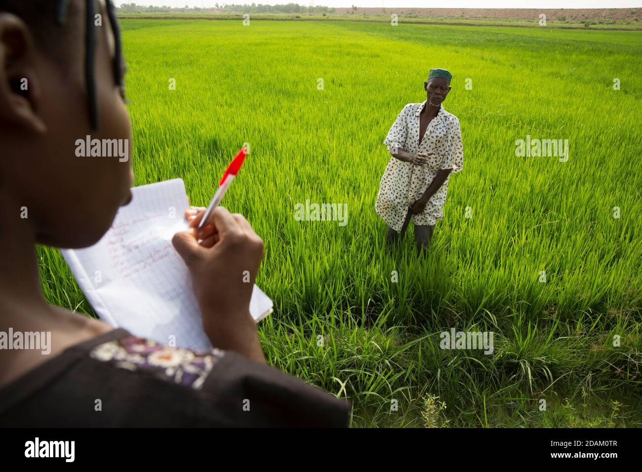 Selingue, Mali, 28th April 2015; Madame Sogoba, agricultural technician, advising  farmer Alou Doumbia.  He explains that his crop is not very advance Stock Photo