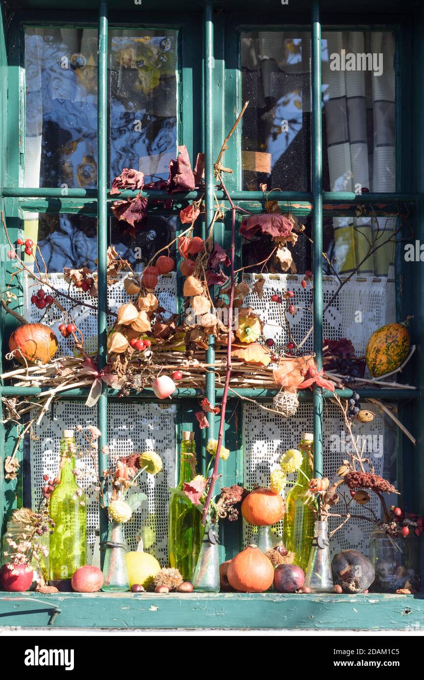 Rechnitz: halloween and autumn decoration in a window, Südburgenland, Burgenland, Austria Stock Photo