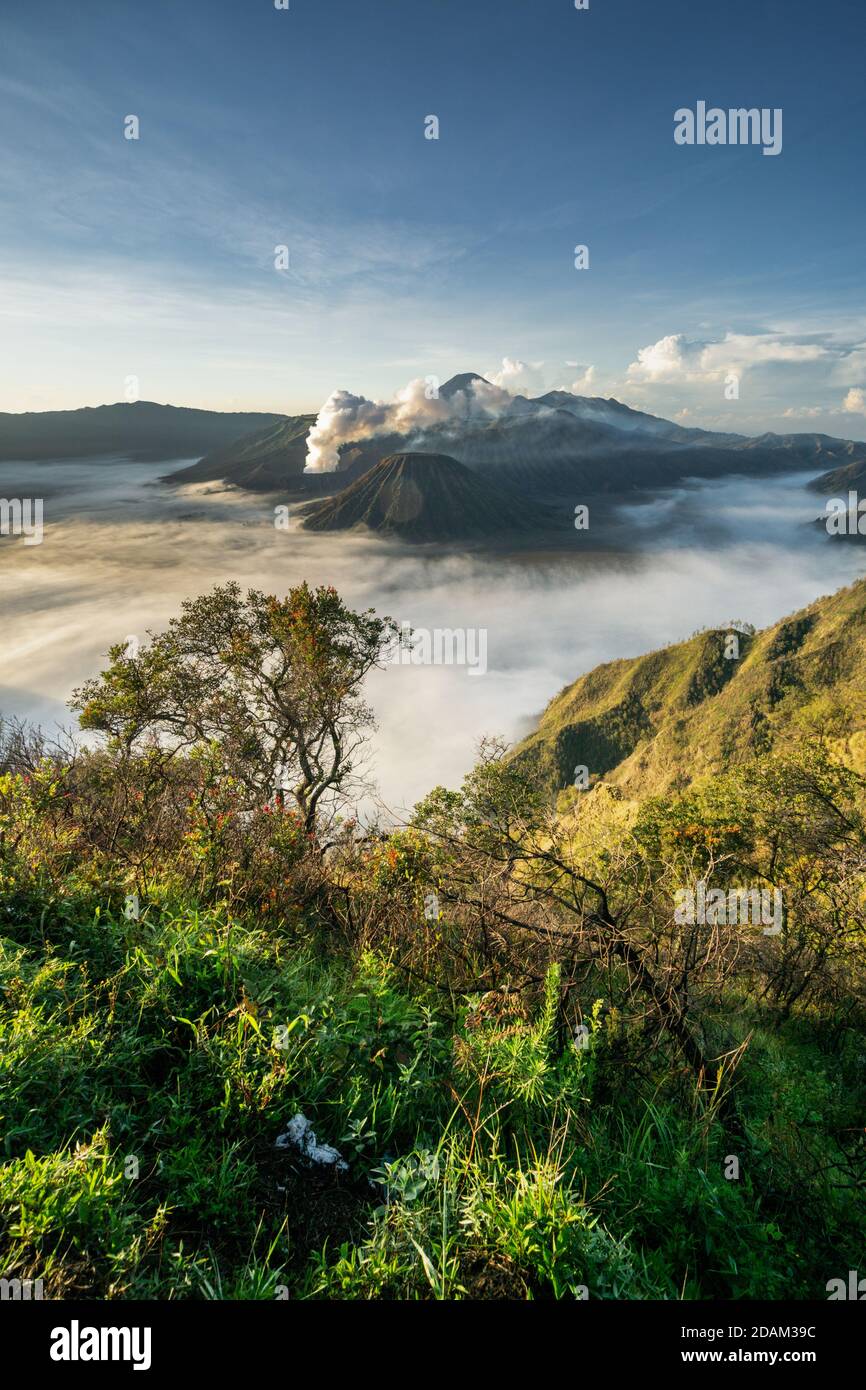 bromo mountain in malang indonesia Stock Photo