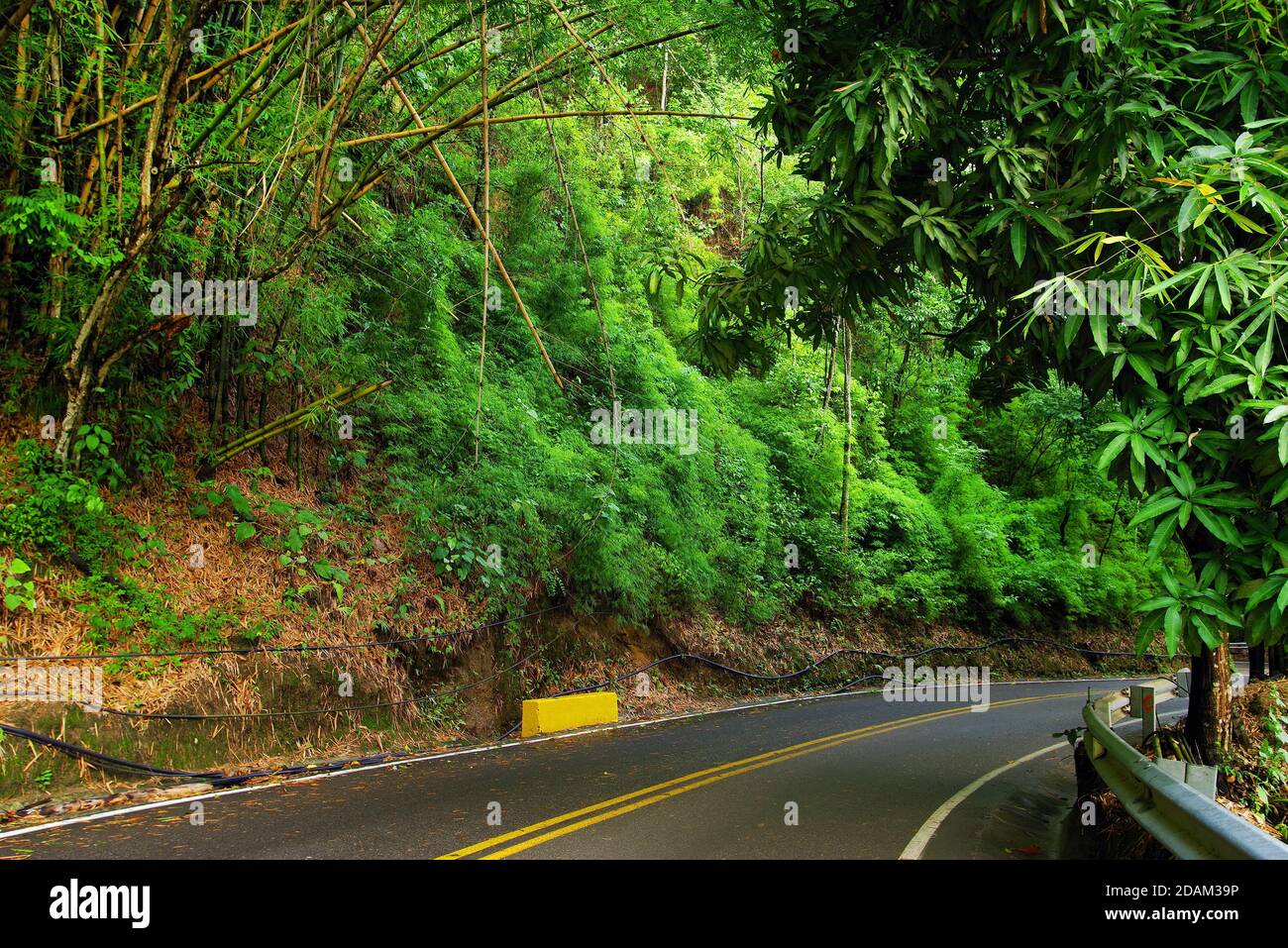 Minca resort in Colombia, South America Stock Photo Alamy
