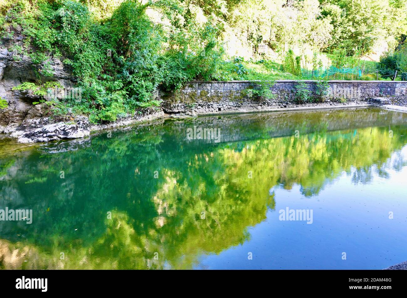Trees reflected on the river water surface. Reflection of Trees on ...