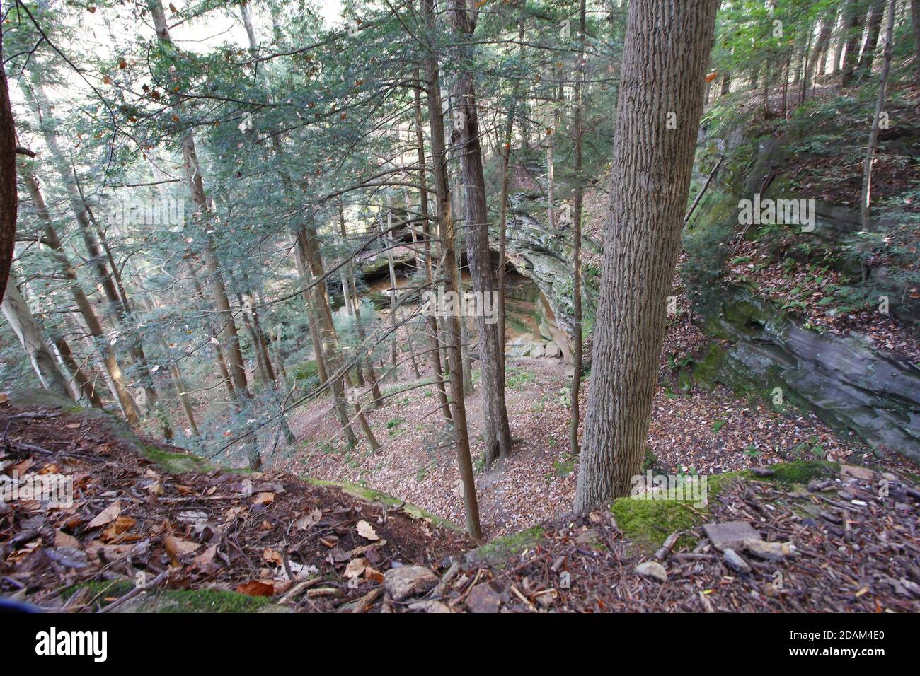 Cantwell Cliffs, Hocking Hills State Park, Ohio Stock Photo Alamy