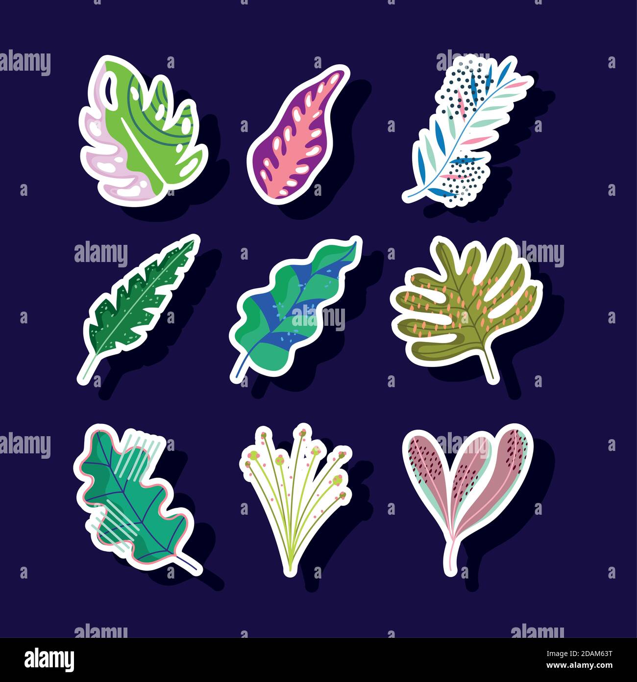 leaves foliage nature abstract decoration stickers icons set vector ...