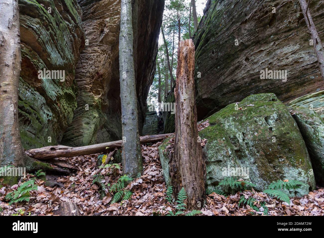Cantwell Cliffs, Hocking Hills State Park, Ohio Stock Photo Alamy