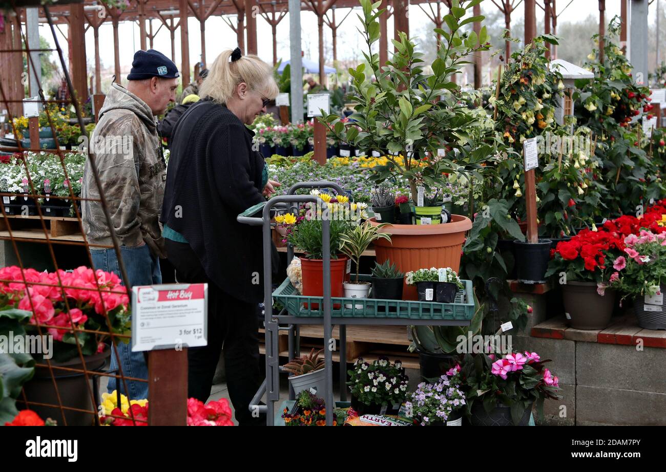 Garden center pot plants hi-res stock photography and images - Alamy