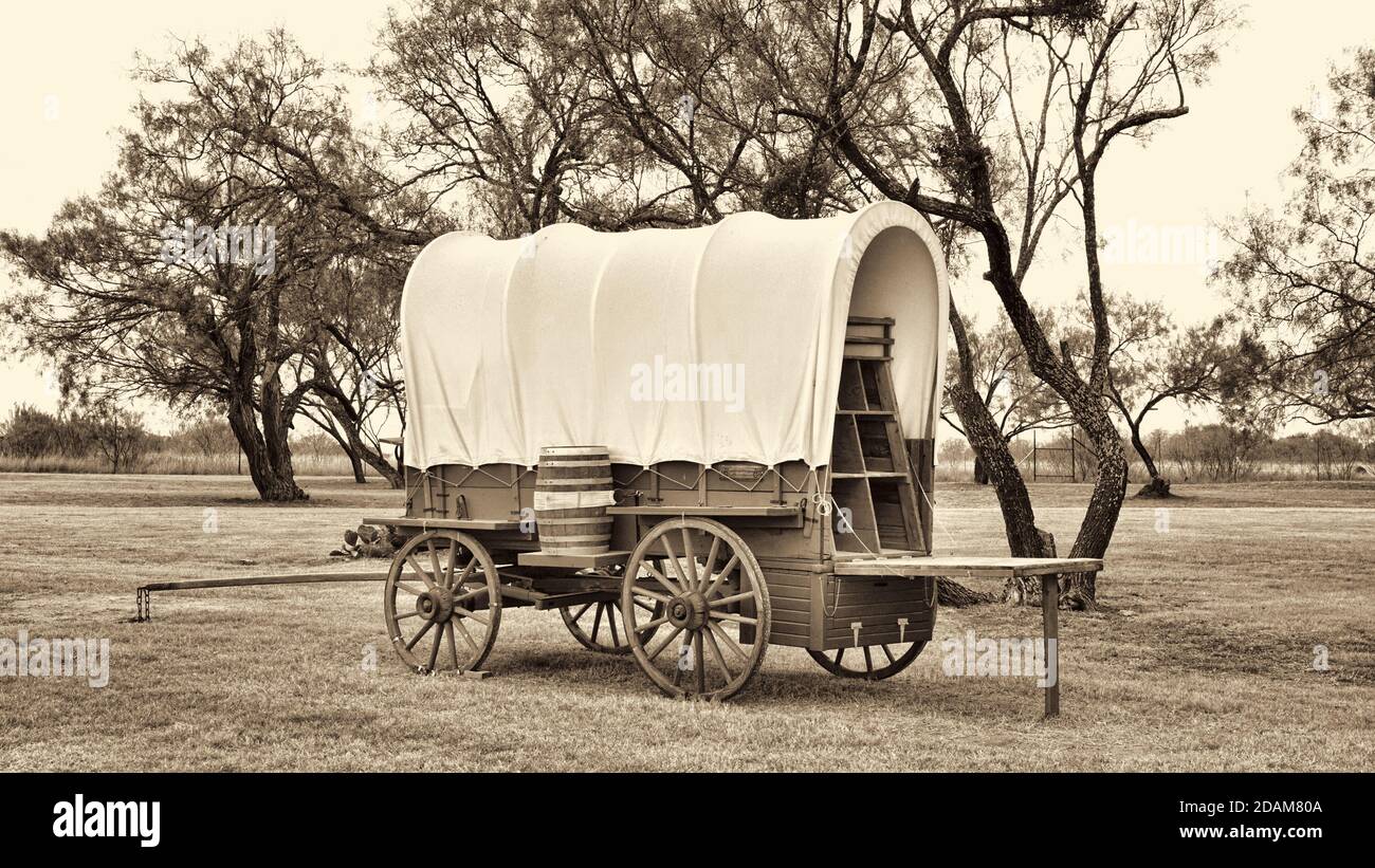 Old wild west covered wagon in Texas with mesquite trees in sepia black and  white Stock Photo - Alamy