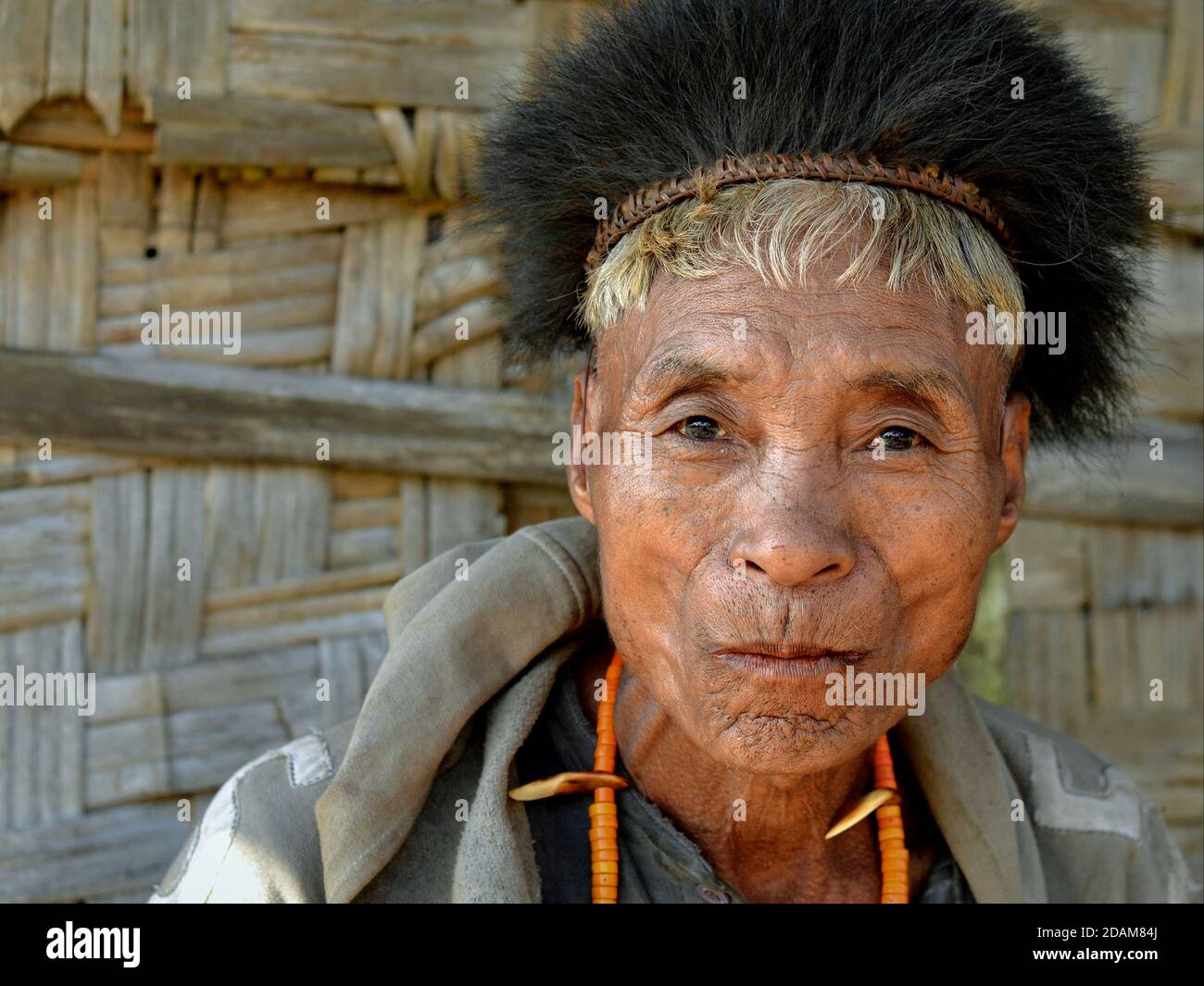 Retired elderly Northeast Indian Konyak Naga warrior and headhunter with traditional fur hat chews paan and poses for the camera. Stock Photo