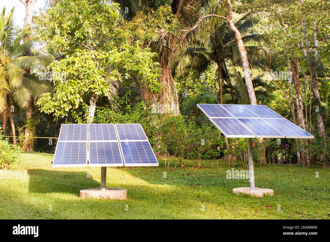 Solar Panels on a sunny day with tropical trees behind. Stock Photo