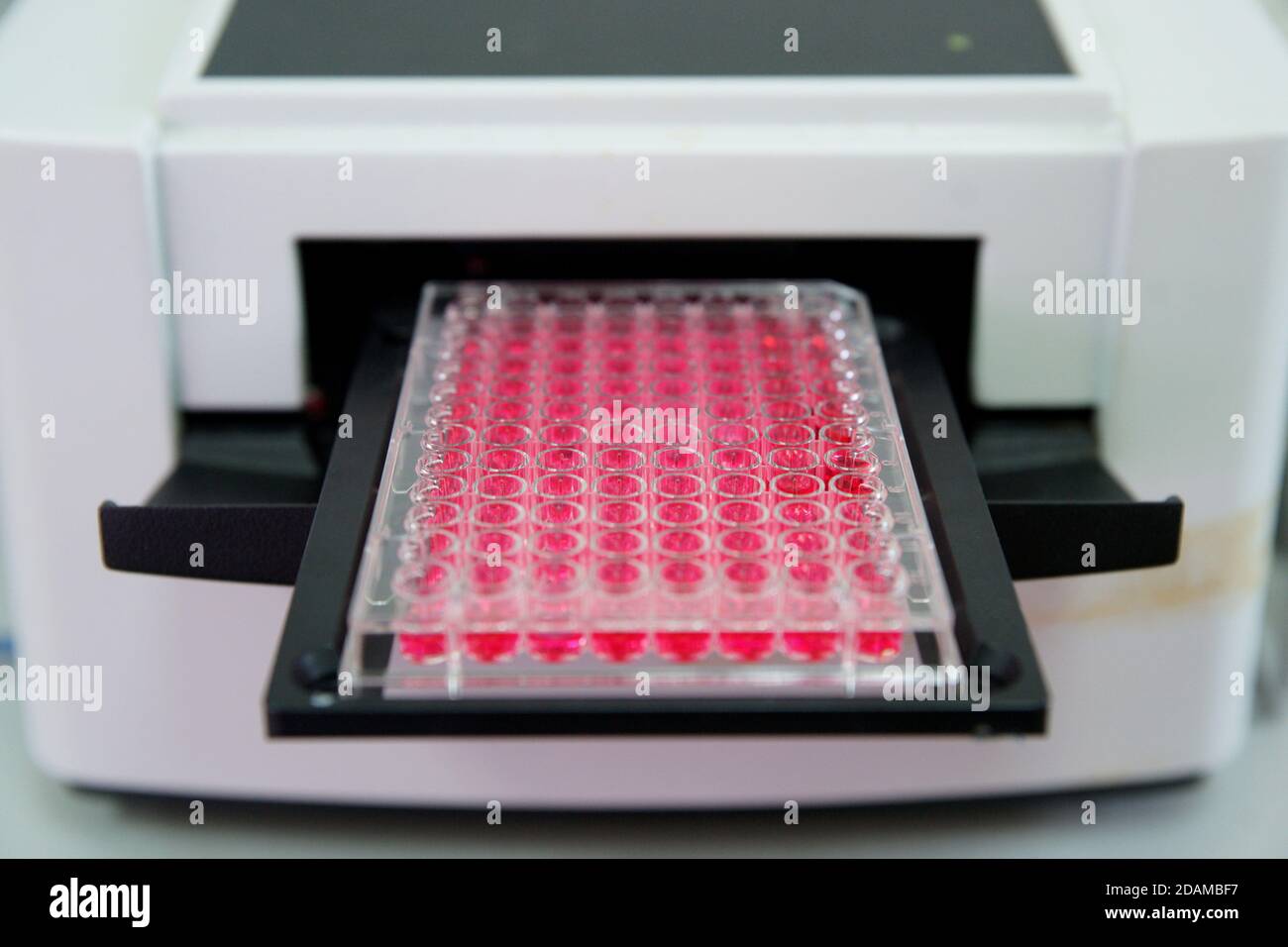 Enzymelinked immunosorbent assay (ELISA) test plate. ELISA uses