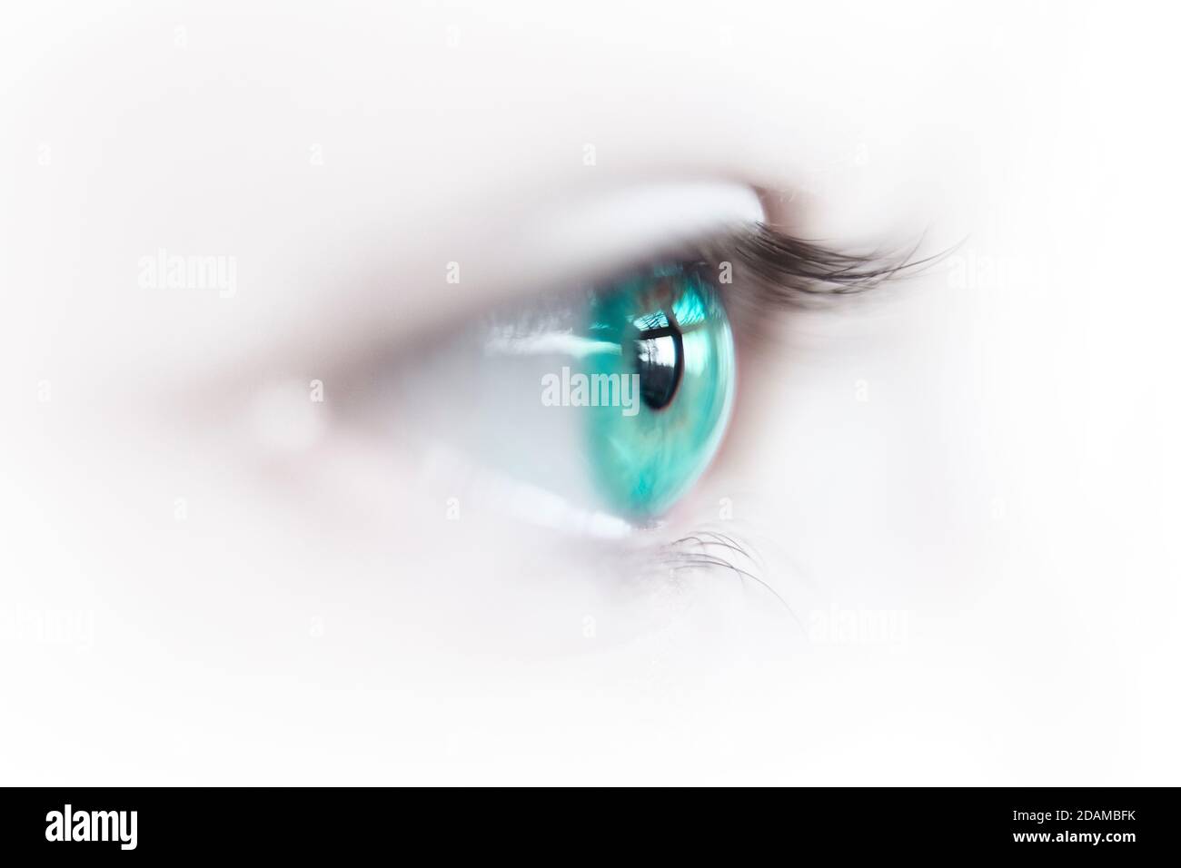 Illustration of a green female eye. Stock Photo