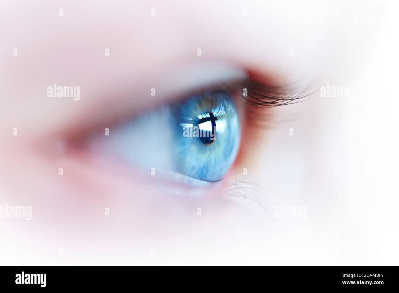 Illustration of a blue female eye. Stock Photo