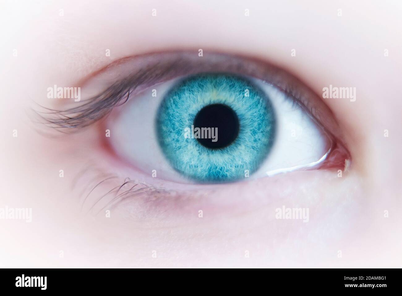 Illustration of a blue female eye. Stock Photo