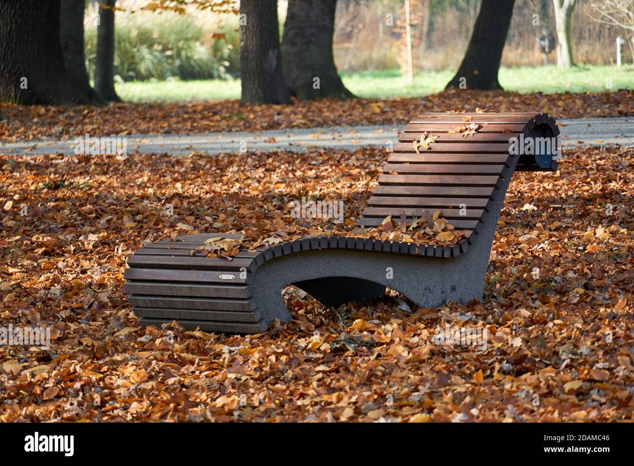 Wooden bench in a park covered in dried leaves and trees under the ...