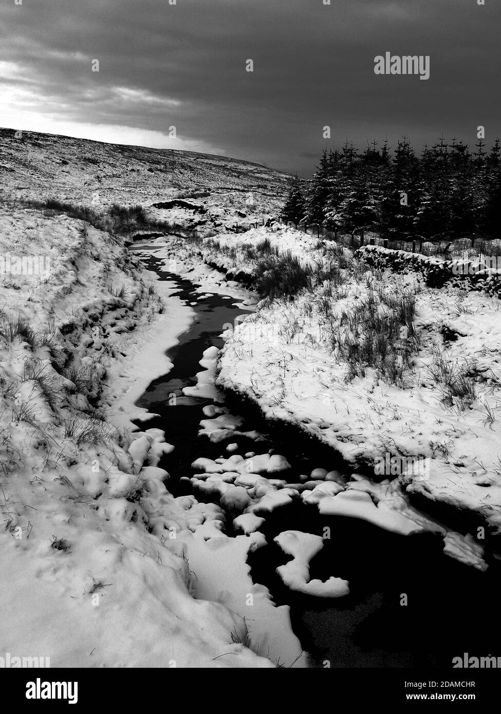 A wintry scene of the North Rotten Burn, which is situated in the Clyde Muirshiel Regional Park in Scotland. Stock Photo