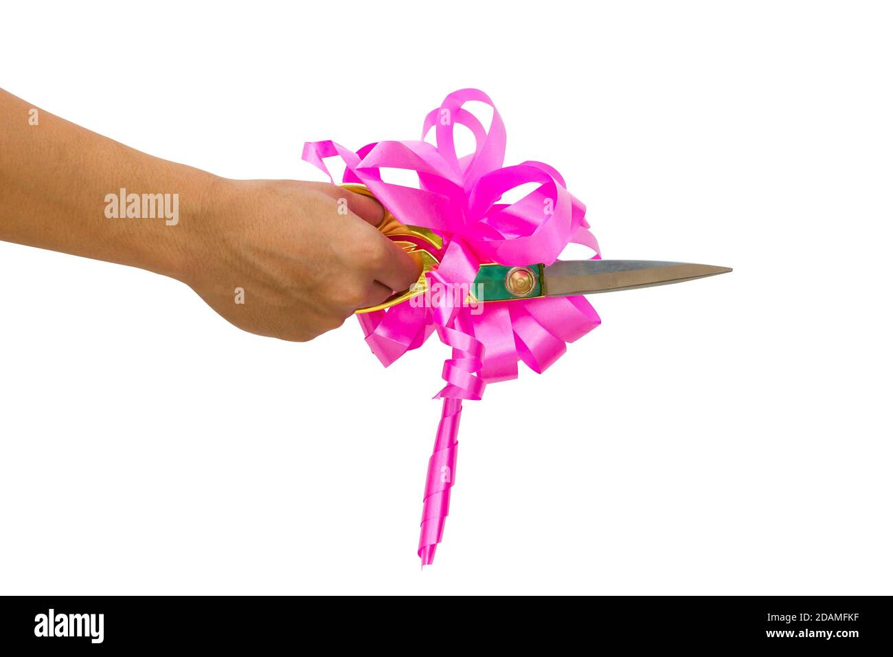 mans hand cutting something with scissors and pink bow isolated on white background. Stock Photo