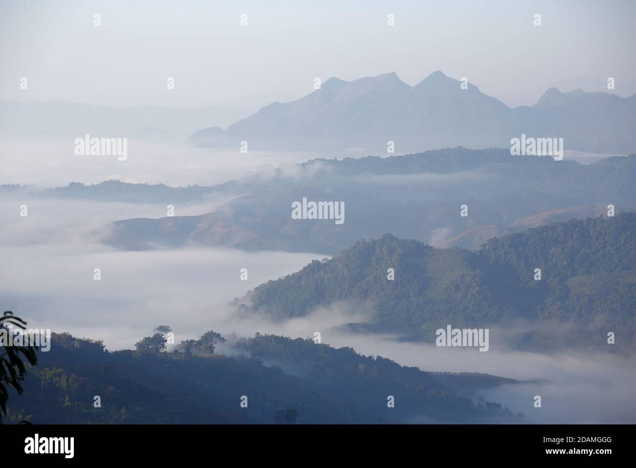 Morning mist over Burmese plain (Shan State) at early morning, viewed from Banlau, Lincang county, south Yunnan Province, China Jan 2013 Stock Photo