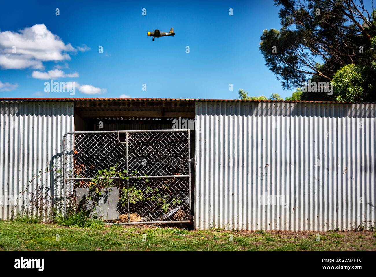 A vintage aircraft flying over a silver corrugated shed with a tin roof and metal gate overgrown with vine against a blue sky with clouds Stock Photo