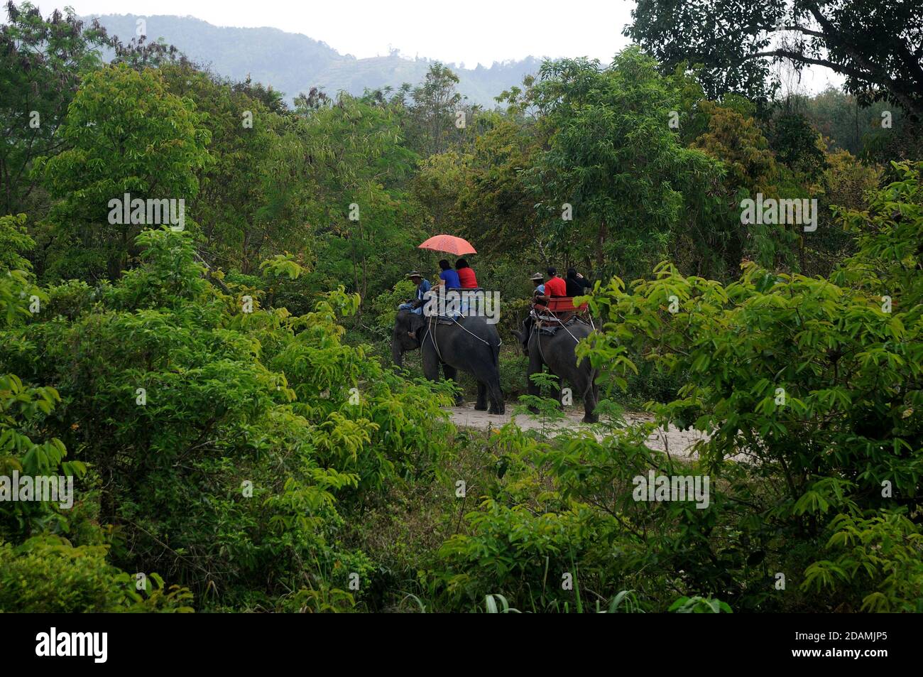 Elephant ride at Chang Puak Camp. One of favorite tourist attraction in