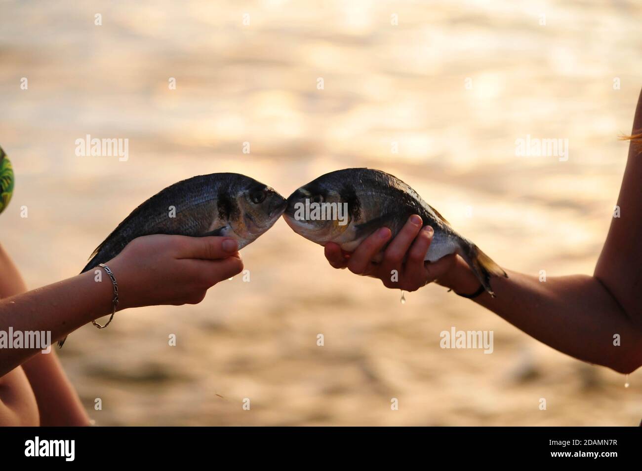 two women holding two fishes together at sunset, sea in the back Stock ...