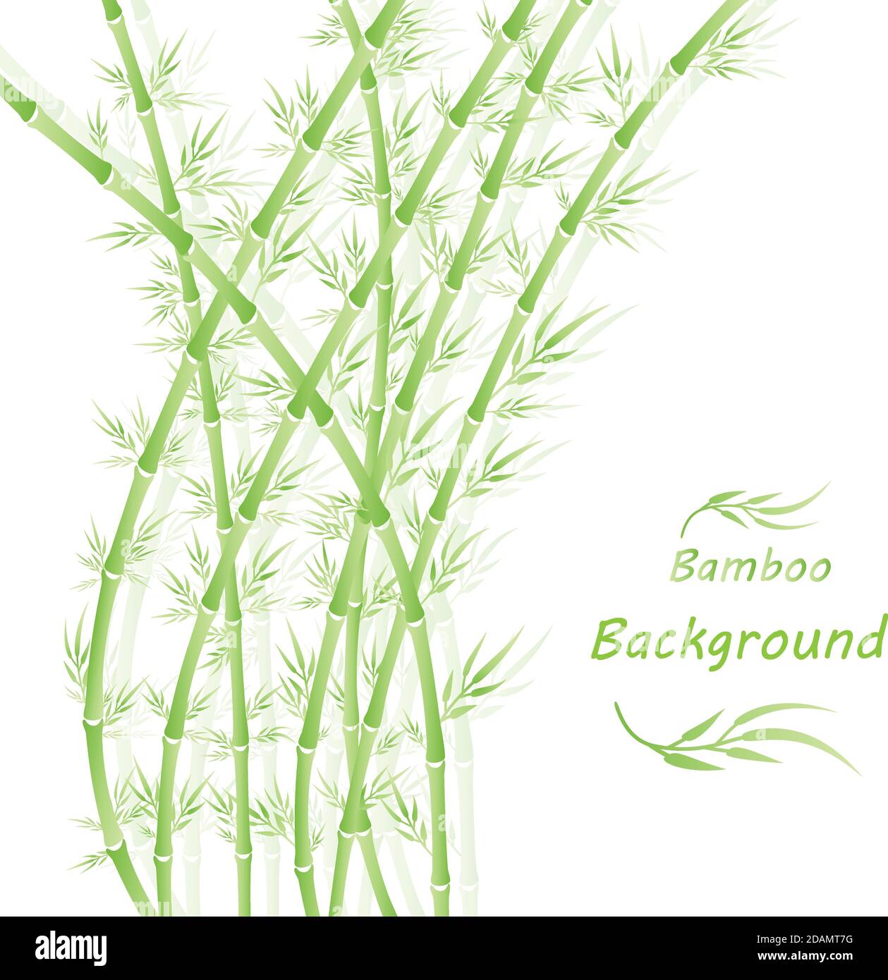 Bamboo forest.Chinese or japanese bamboo grass green background art design.Vector illustration.Eps10 Stock Vector