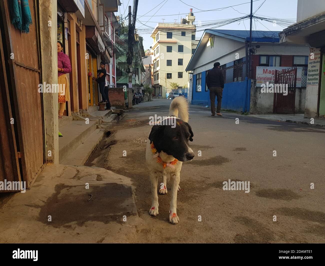 14 November 2020, Nepal, Kathmandu On the street of Tinkune, Kathmandu