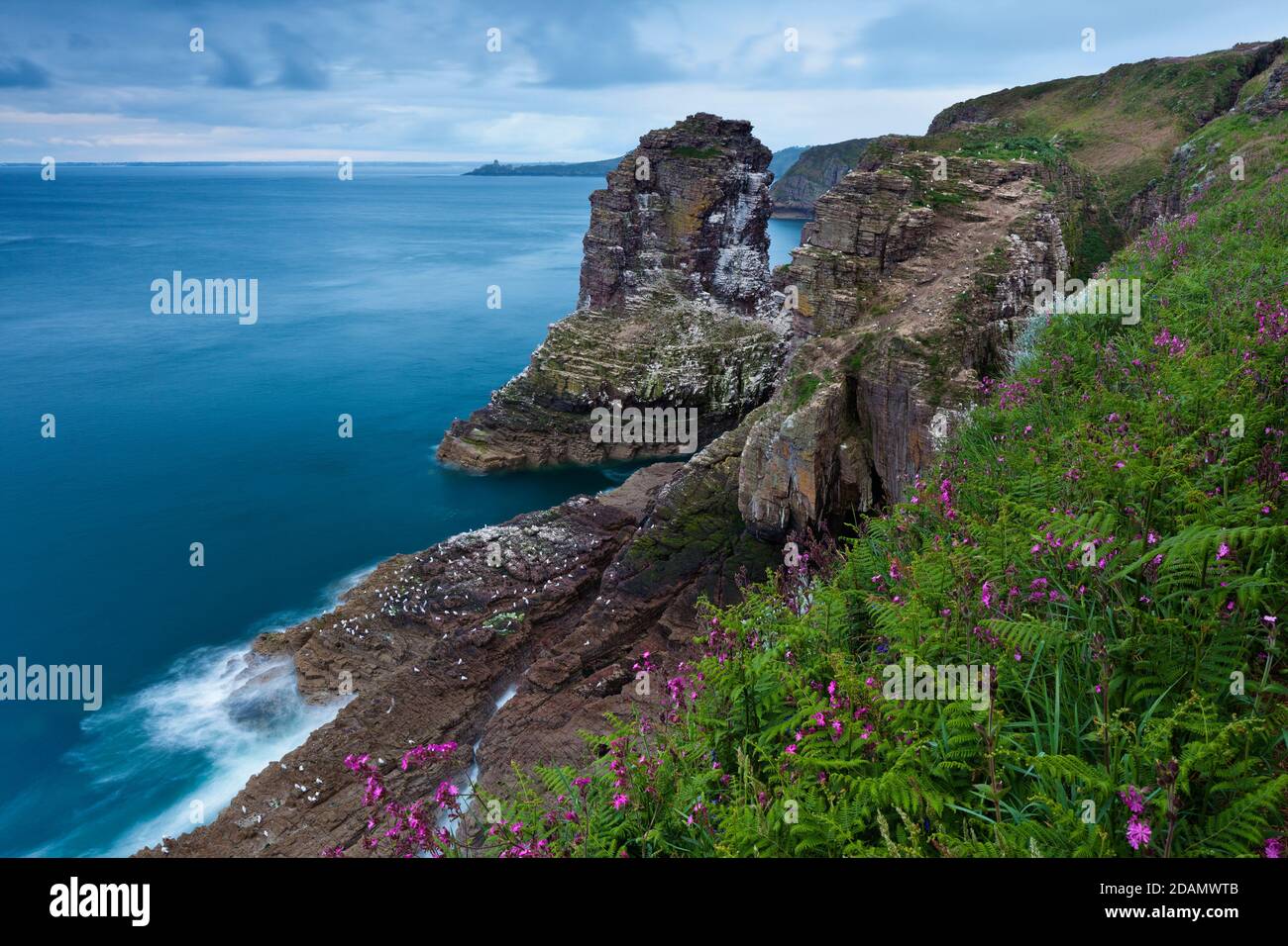 Cap Frehel - View to the Birdrock, which is also a nature reserve, below the lighthouse on Cap Frehel. Brittany France Stock Photo
