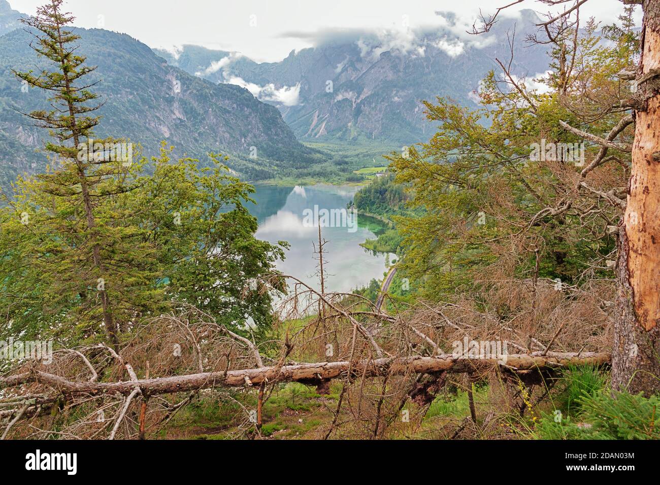 Overlooking the Almsee from the Ameisstein lookout to th eend of the valley Stock Photo