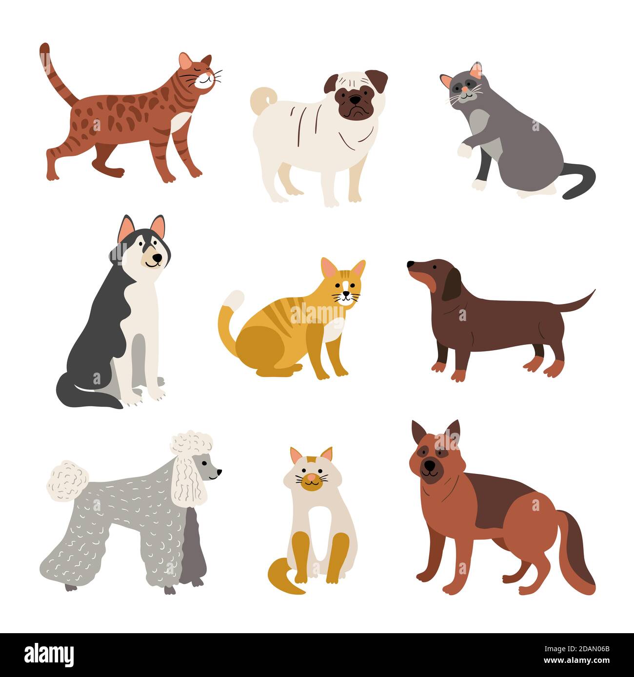 Different pets assortment Vector illustration Stock Vector Image & Art ...