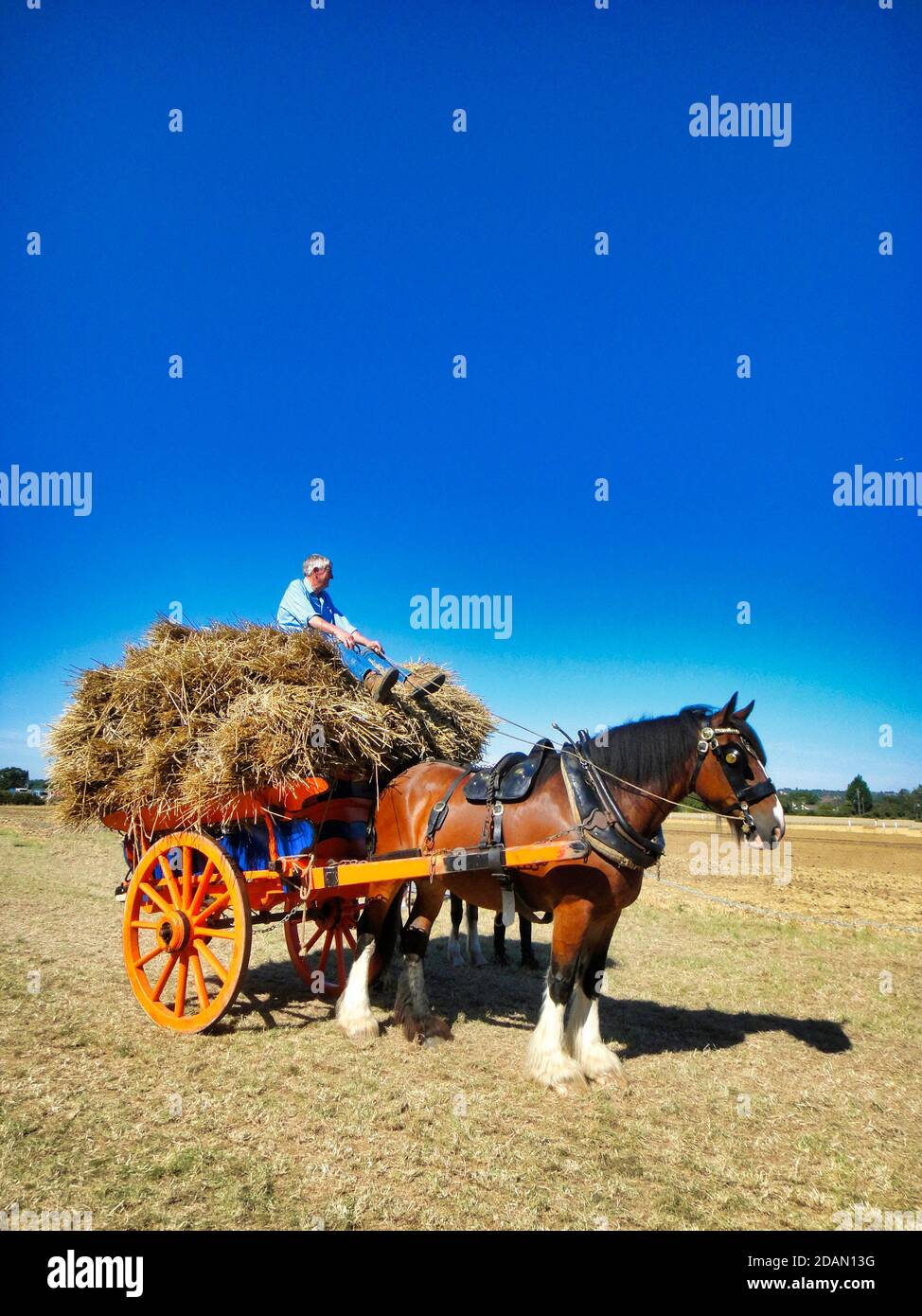 Horse and Cart Stock Photo Alamy