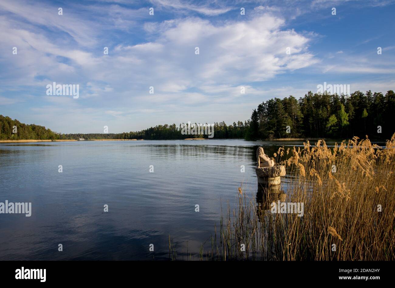 Rospuda and gola zoska country lake in poland podlasie voivodeship