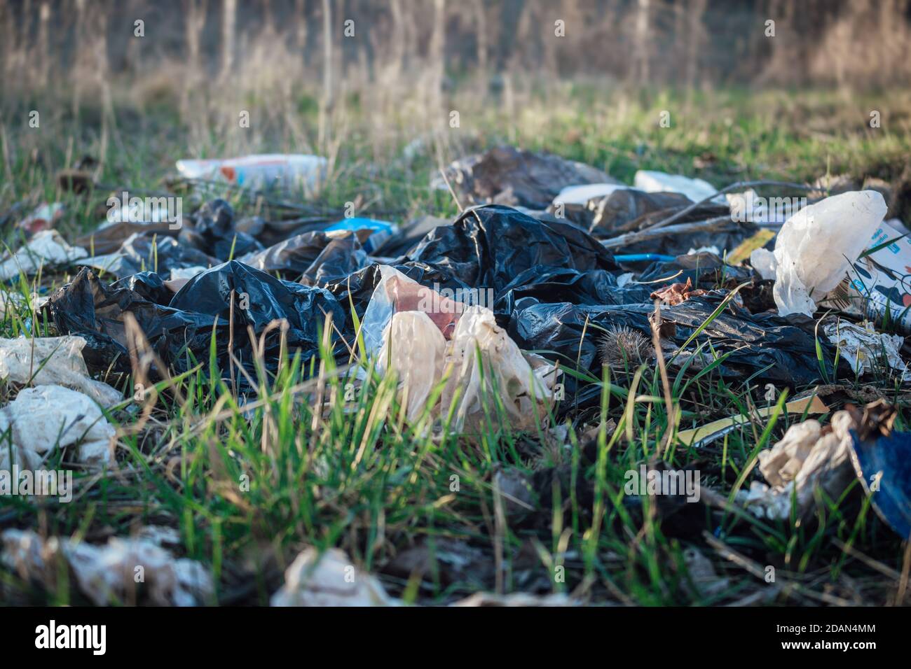 Garbage, thrash and junk outside the city. Close up, ecological problem, concept of environmental protection. Stock Photo