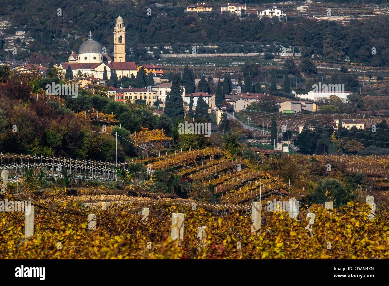 Marano di Valpolicella, surrounded by typical vineyards. Stock Photo