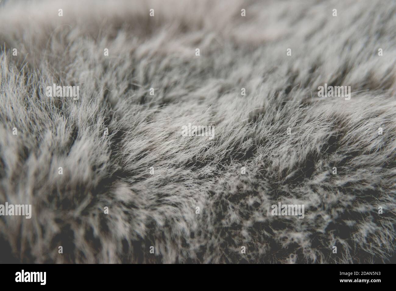 Detail gray fur with a soft vintage effect Stock Photo