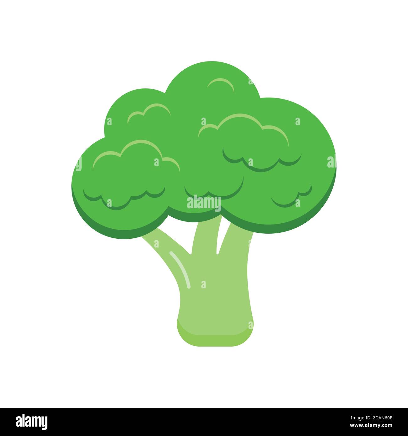 Broccoli fresh vegetable icon isolated on white background. Stock Vector