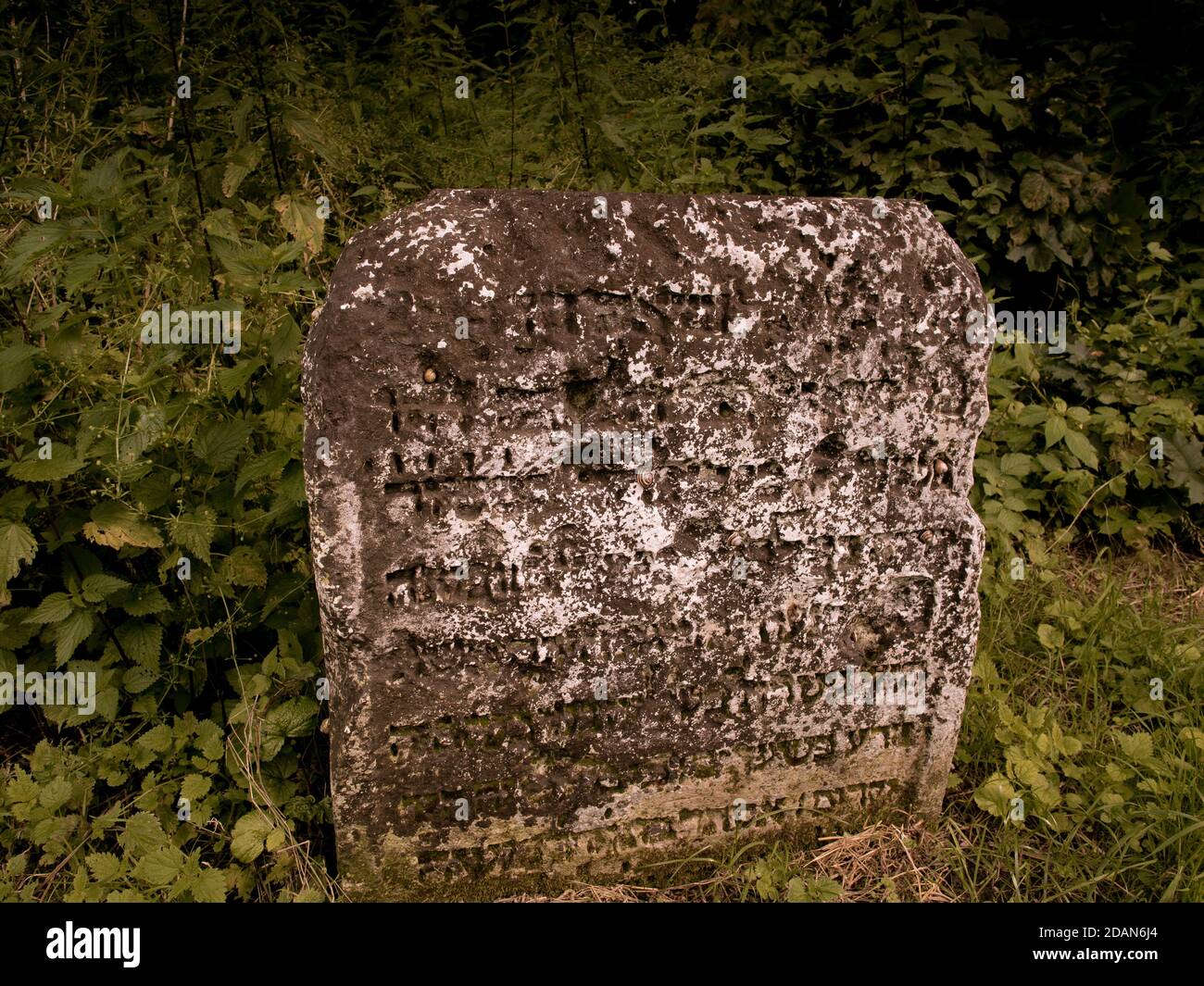 Matzevah Matzevah (tombstone) in the Old Jewish Cemetery in Lublin, Poland Stock ...