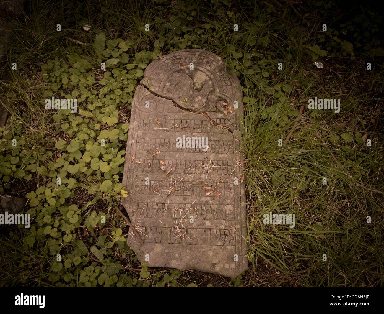 Matzevah Matzevah (tombstone) in the Old Jewish Cemetery in Lublin, Poland Stock ...