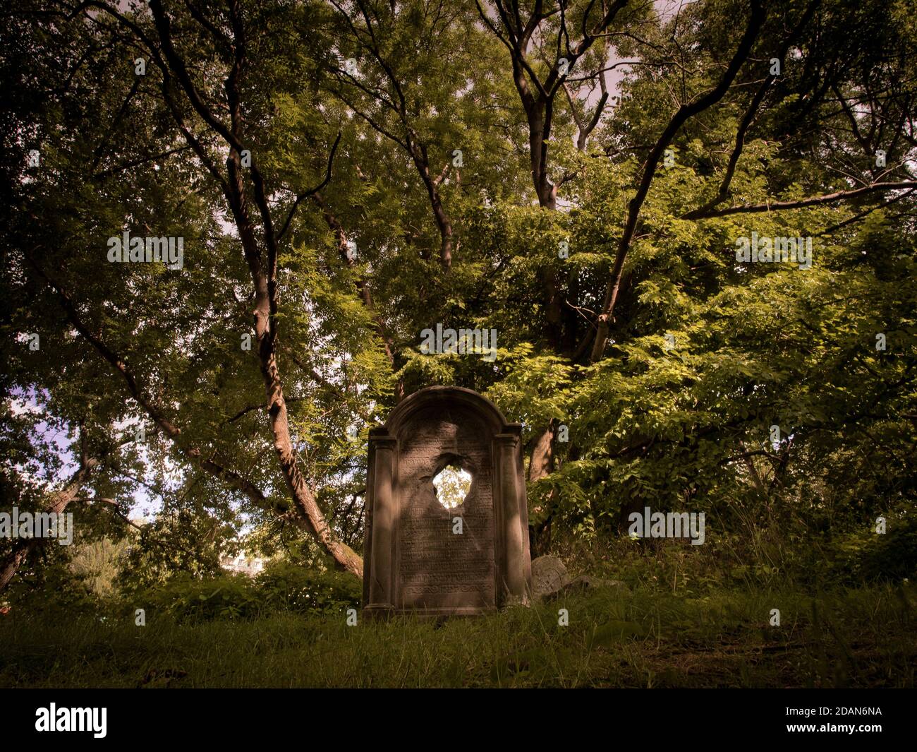 Matzevah Broken neglected jewish grave in hi-res stock photography and images ...