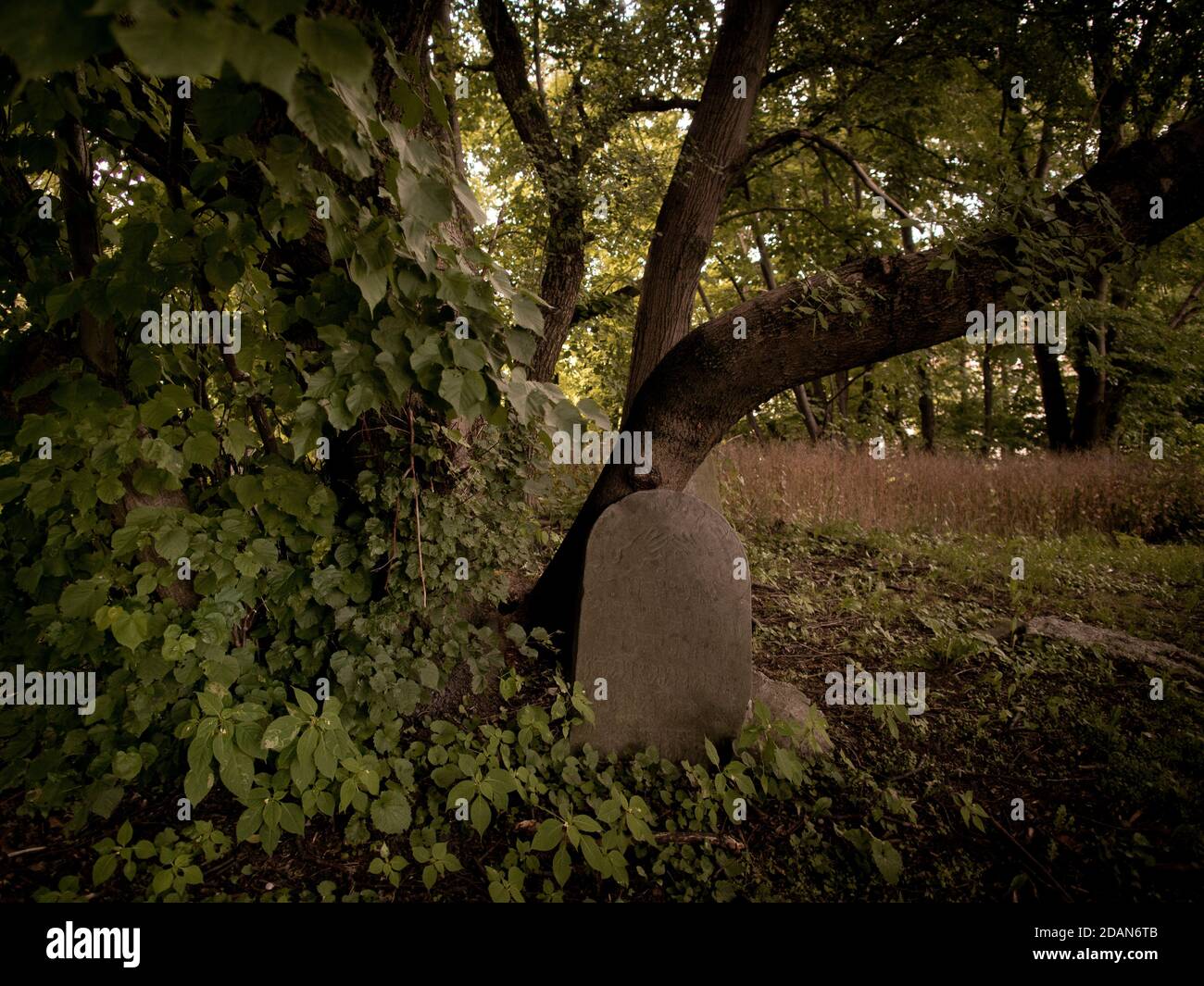 Matzevah Matzevah (tombstone) in the Old Jewish Cemetery in Lublin, Poland Stock ...