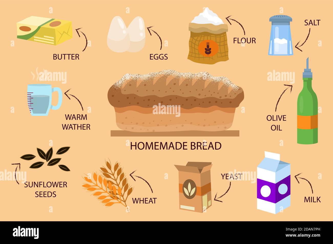 Homemade bread recipe Vector illustration Stock Vector Image & Art - Alamy