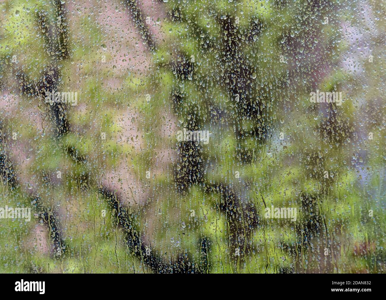 Plant behind glass drops hi-res stock photography and images - Alamy