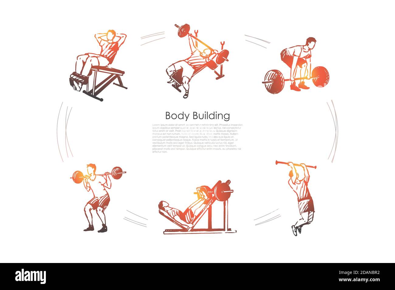 Biceps exercises Stock Vector Images - Alamy