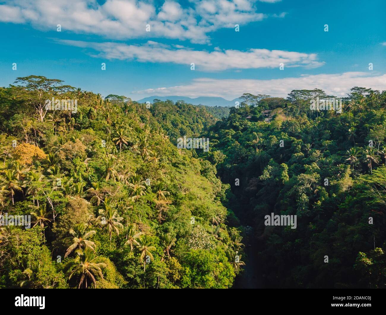 Aerial view of river and jungle in Bali, Ubud Stock Photo - Alamy
