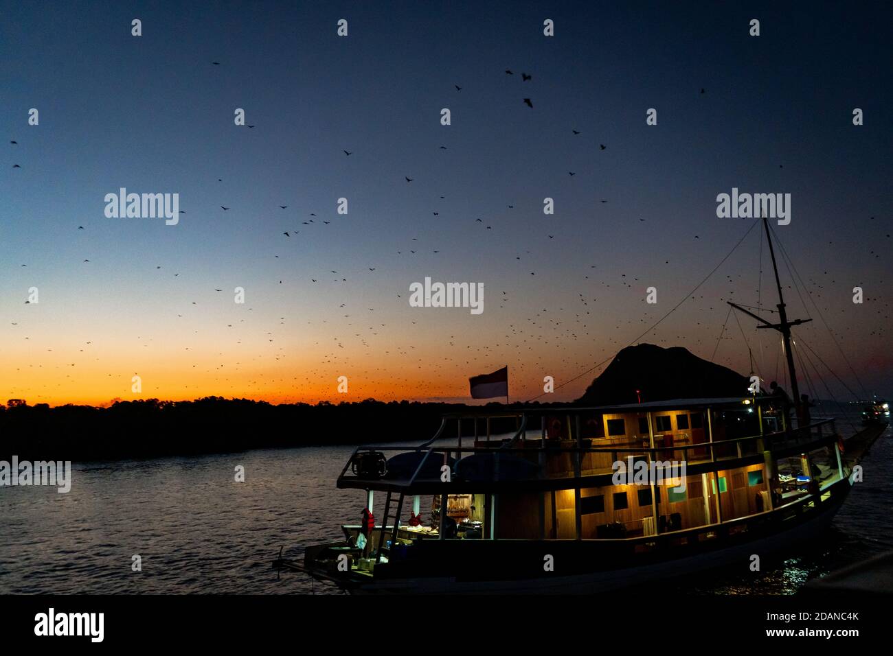 flying foxes over a boat at sunset Stock Photo