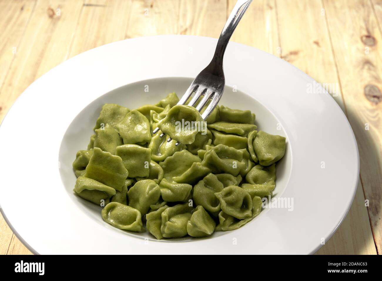 green ravioli del plin, pasta from the langhe italy, made with egg pasta and spinach vegetables with fork raising a ravioli on rustic wooden backgroun Stock Photo