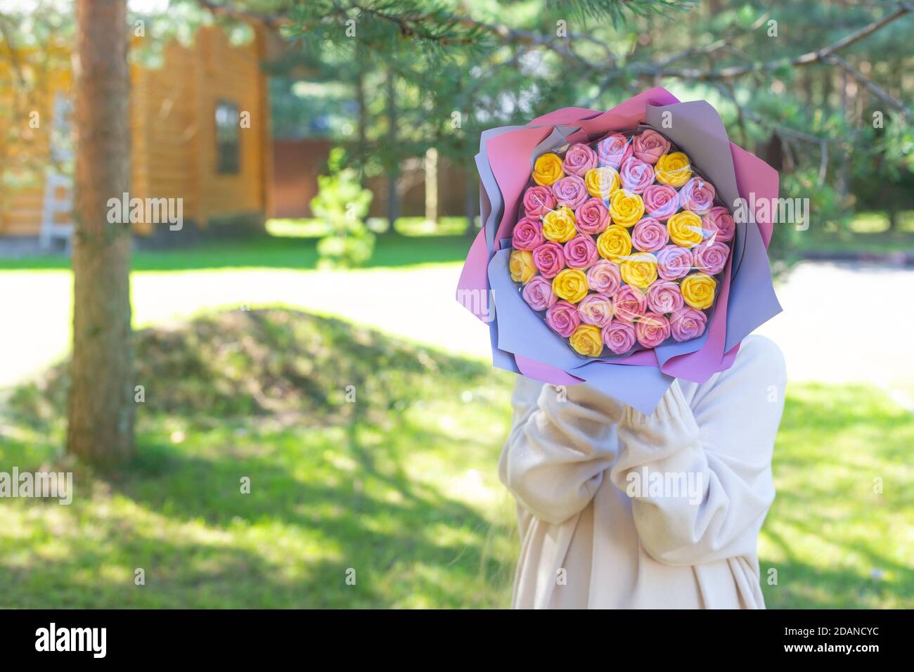 A girl in a light sweater in nature and covered her face with a bouquet of multi-colored roses. Mother's day, birthday, congratulation, gift Stock Photo