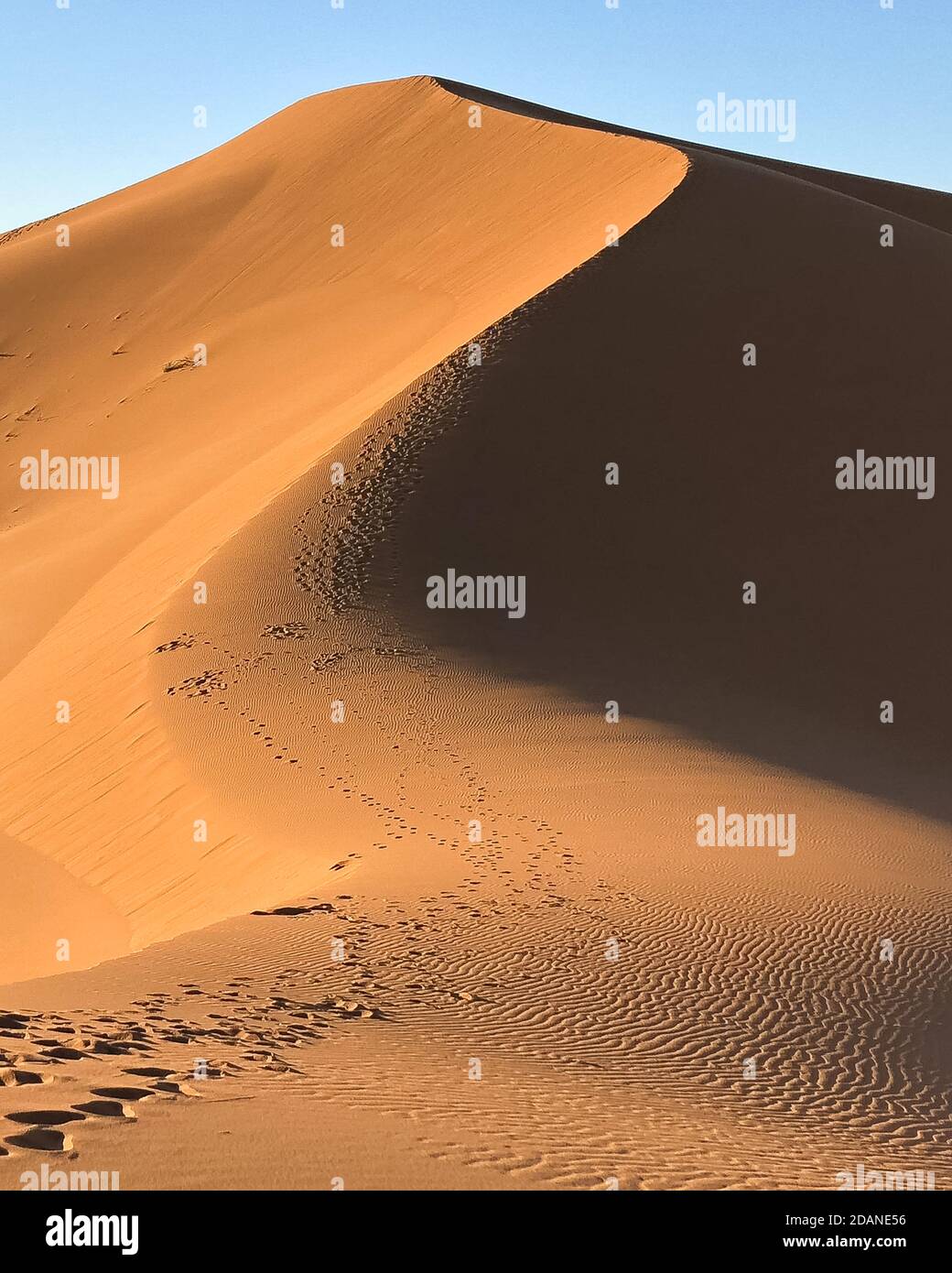 Huge desert dune at Erg Chigaga, at the gates of the Sahara. Morocco. Concept of travel and adventure. Stock Photo